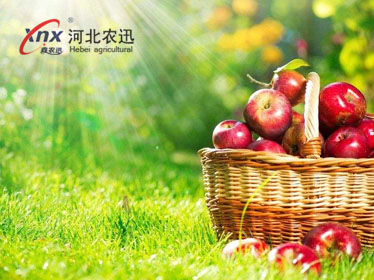 河北農(nóng)迅生物科技有限公司