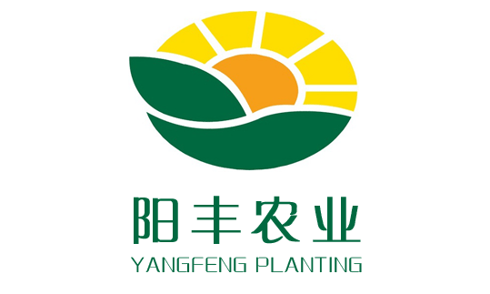 邯鄲陽豐綠色農(nóng)業(yè)邯鄲網(wǎng)站建設案例www.artdesignsale.com